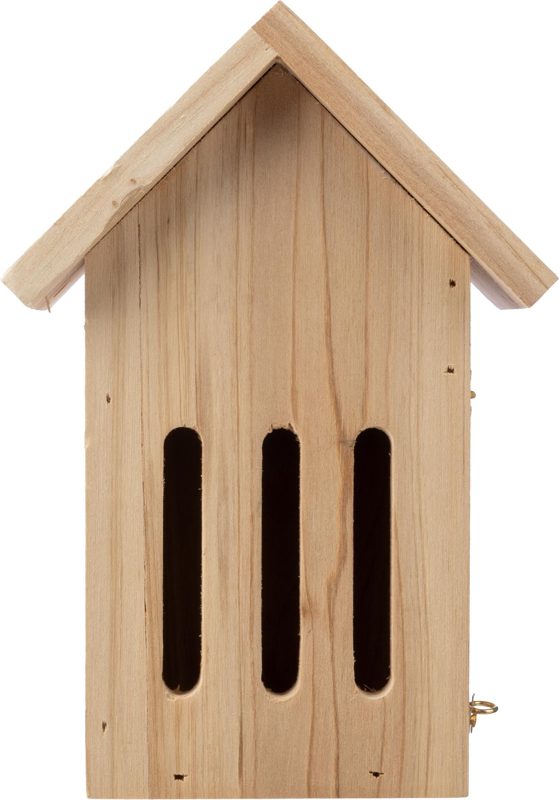 Schmetterlingshaus Anita