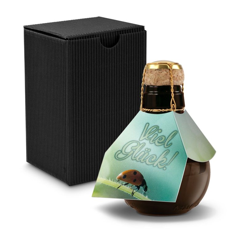 Kleinste Sektflasche der Welt! Viel Glück - Inklusive Geschenkkarton