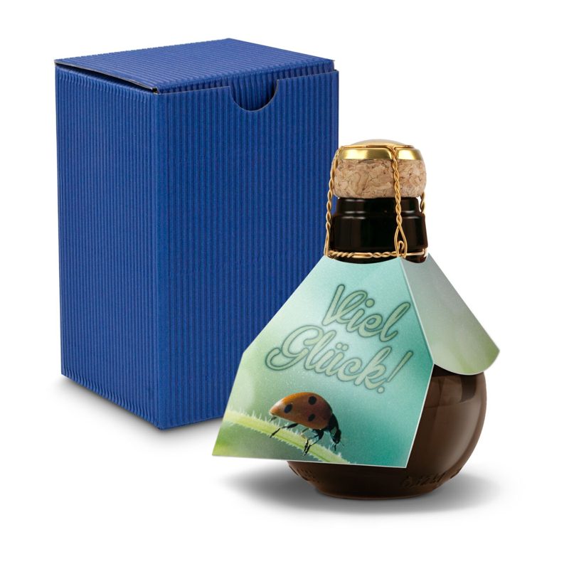 Kleinste Sektflasche der Welt! Viel Glück - Inklusive Geschenkkarton