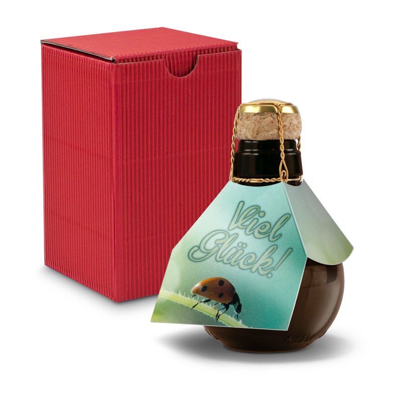 Kleinste Sektflasche der Welt! Viel Glück - Inklusive Geschenkkarton