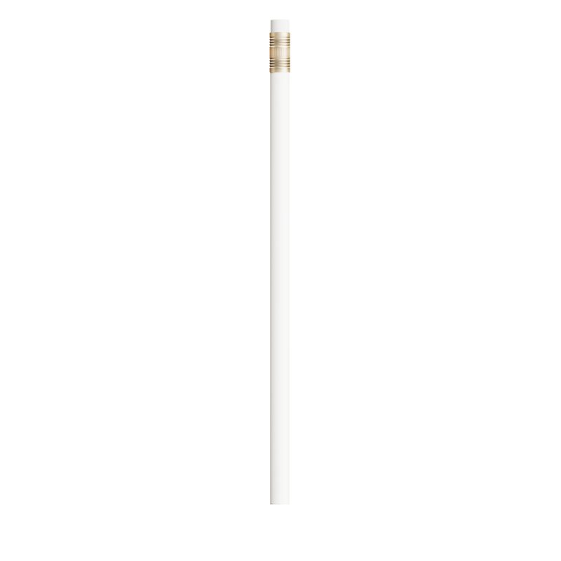 BIC® Evolution® Classic Ecolutions® Bleistift