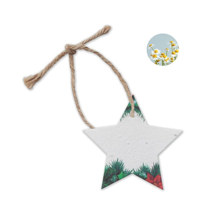 Weihnachtsschmuck Samenpapier Starseed