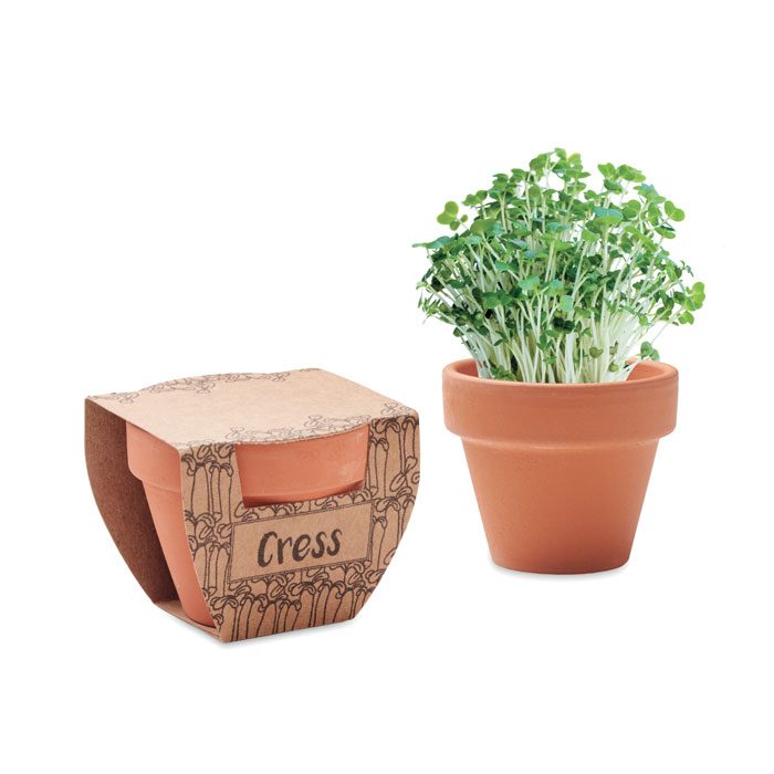Terrakotta-Topf Kresse Cress Pot