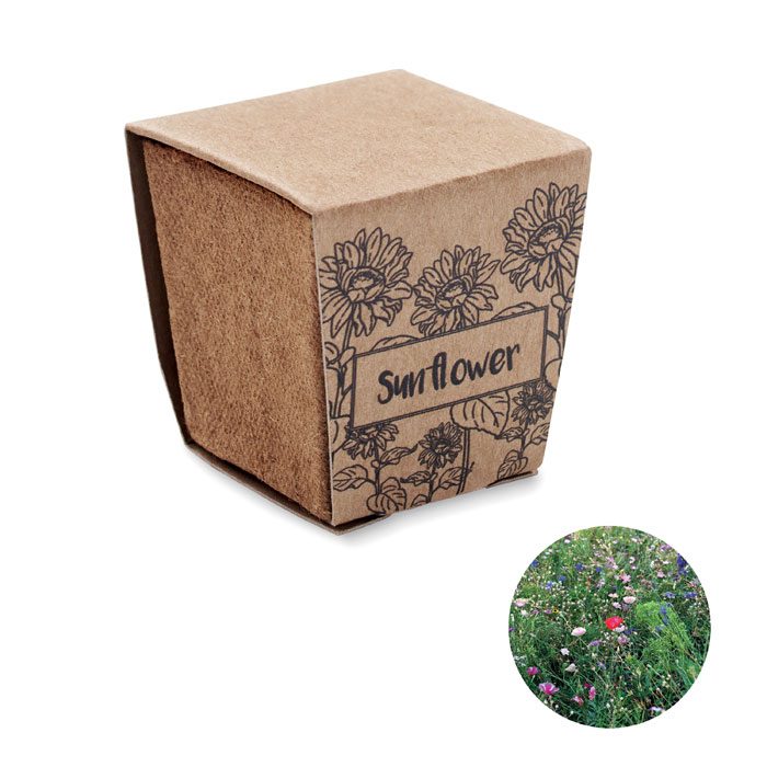 Pflanz-Set Sonnenblume Sunflower Kit