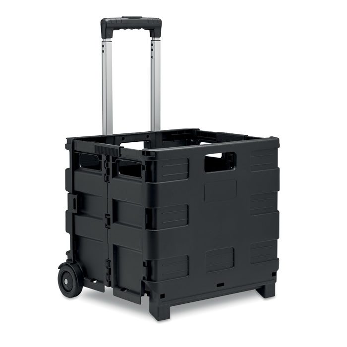 Shopping Trolley Carro