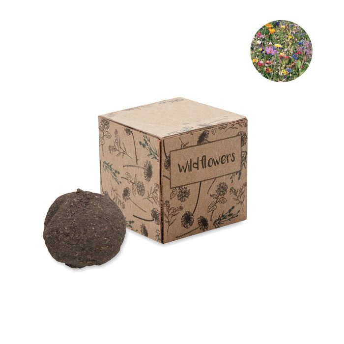 Saat-Set Wildblumen Bombi