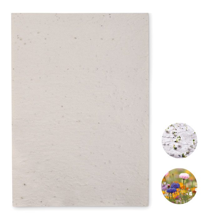 Din A4 Wildblumen-Samenpapier Asidi
