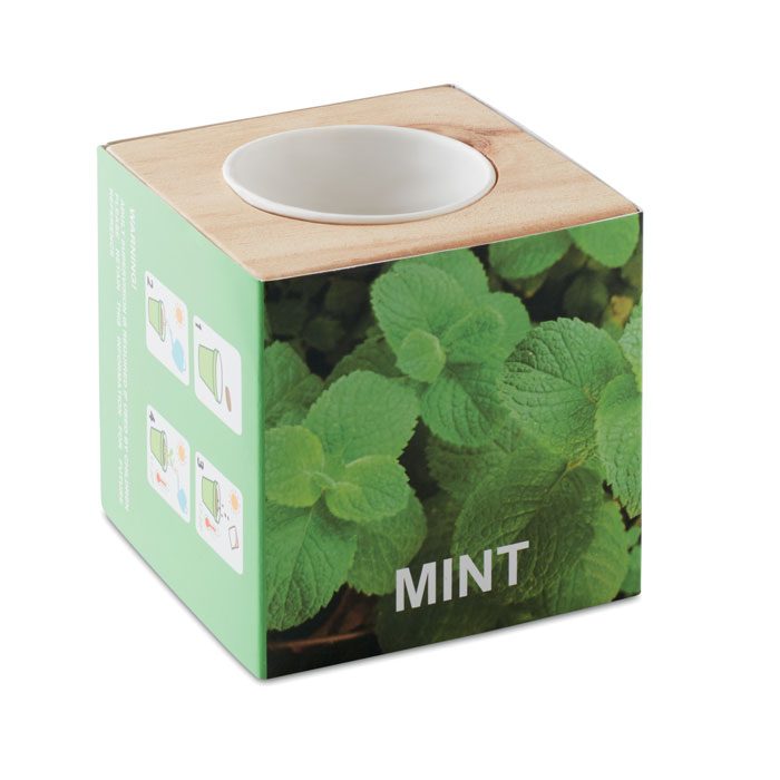 Kräuterpflanz-Set Menta